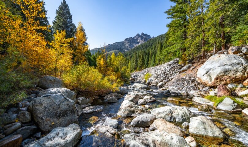 From Watershed Health Seeds to Landscape-Scale Returns