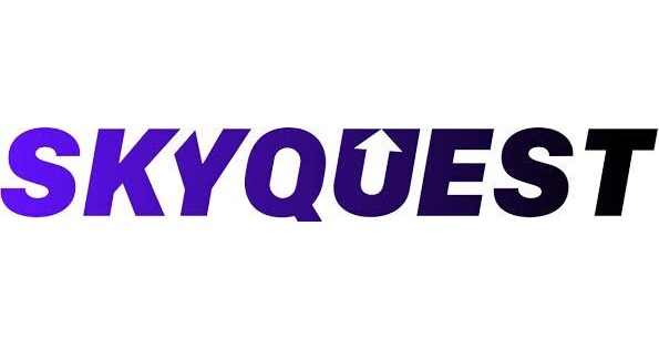 Using Adoption for a USD 795.98 Billion While via 2031| SkyQuest Era