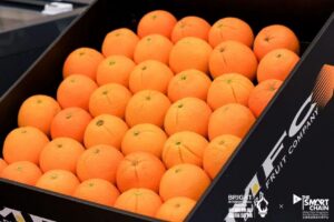 Chinese food company introduces fresh Australian MFC oranges to Chinese market Chinese food company introduces fresh Australian MFC oranges to Chinese market