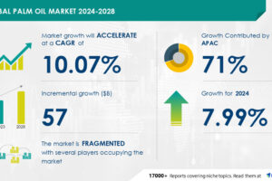 Palm Oil Marketplace measurement is about to develop via USD 57 billion from 2024-2028, Expanding client consciousness referring to fitness advantages of palm oil to spice up the marketplace expansion, Technavio Palm Oil Marketplace measurement is about to develop via USD 57 billion from 2024-2028, Expanding client consciousness referring to fitness advantages of palm oil to spice up the marketplace expansion, Technavio