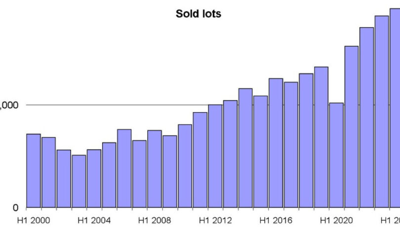 Artmarket.com: zweites Quartal 2024 mit zweistelligem Wachstum