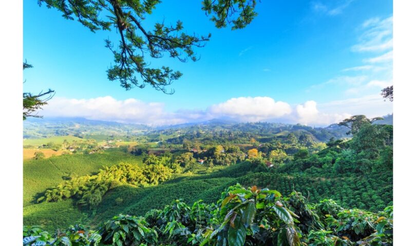 ProColombia Organizes Trade Show of Colombia’s Top Agricultural Goods for Aruba and Curaçao