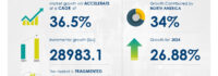 Companion Diagnostics Market size is set to grow by USD 28.98 billion from 2024-2028, Rising use of personalized medicine to boost the market growth, Technavio