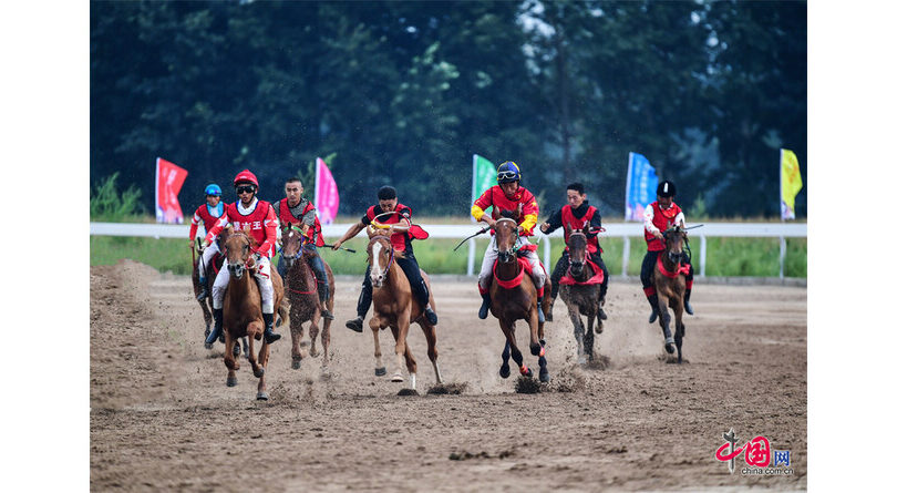 Horse racing festival opens in N. China