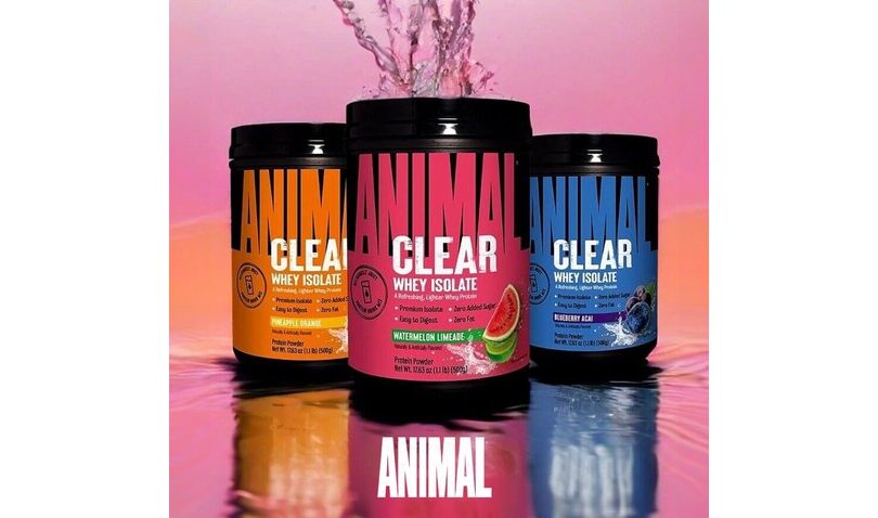 A Refreshing Twist on Protein Shakes