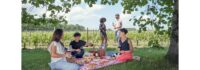 Taste Medoc Wines in Texas This September