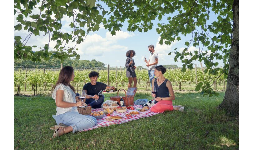 Taste Medoc Wines in Texas This September