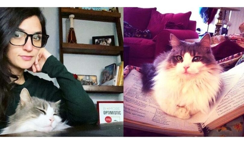 Petco Love and BOBS® from Skechers® Announce 2024 Petco Love Stories Campaign