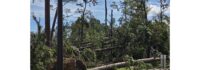 Georgia Power releases key estimated damage statistics from Hurricane Helene as restoration progress continues
