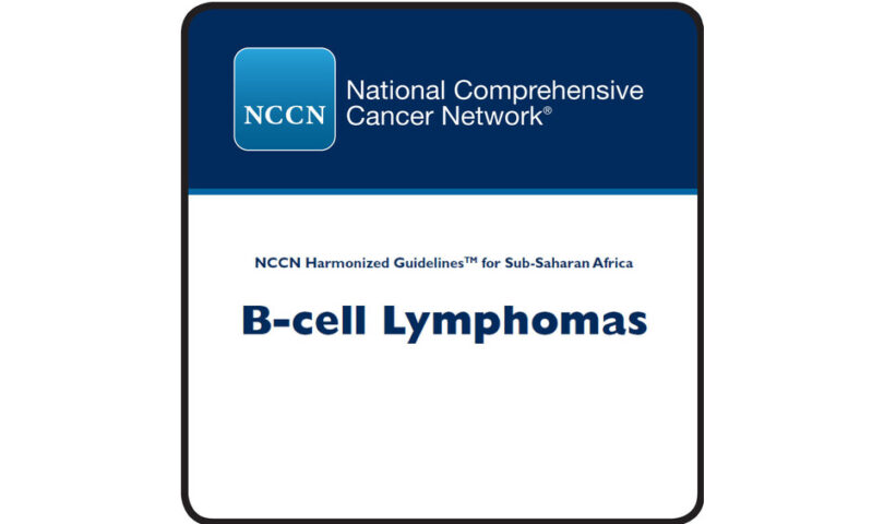 Regional and Global Experts Convene in Accra, Ghana to Update Cancer Treatment Guidelines for Sub-Saharan Africa