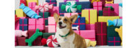 Petco Launches Holiday Collection Featuring New, Exclusive Statement Pieces and Returning Bestsellers