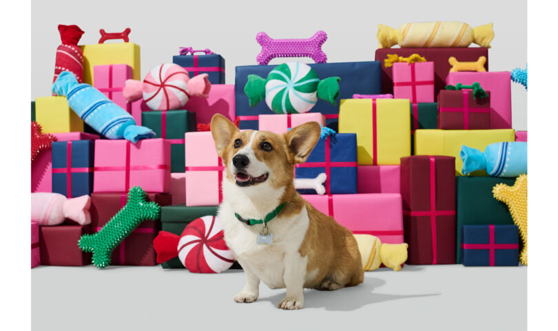 Petco Launches Holiday Collection Featuring New, Exclusive Statement Pieces and Returning Bestsellers