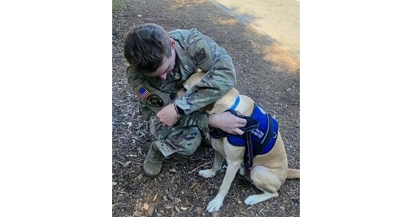 Petco Love Celebrates Veterans and Service Dogs with 0,000 in Grants Ahead of Veterans Day