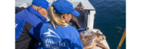 Loggerhead Sea Turtle Released Off San Diego Coast Following Months of Rehabilitation