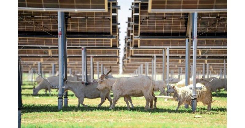 Arctech’s SkyWings Empowers the Global’s Greatest Unmarried-Capability PV Energy Plant Constructed on Coal Mining Subsidence Department