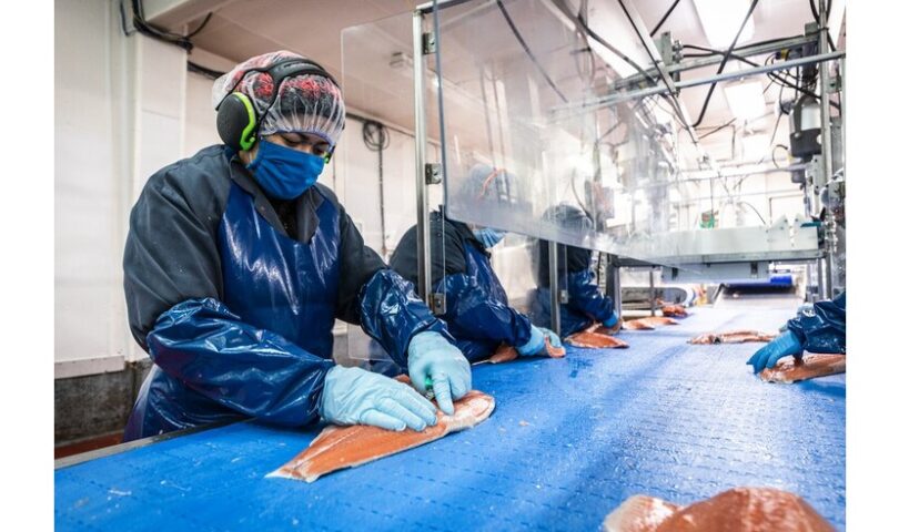 GSA Releases Seafood Processing Standard Version 6.0