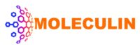Moleculin Reports Third Quarter 2024 Financial Results and Provides Corporate Update