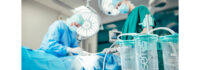 Serres Receives €1.8 Million Research Grant from Business Finland