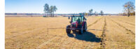 Chestnut Carbon Inks Deal with Microsoft for Groundbreaking New Carbon Removal Project