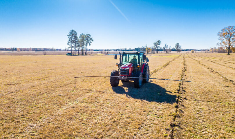 Chestnut Carbon Inks Deal with Microsoft for Groundbreaking New Carbon Removal Project