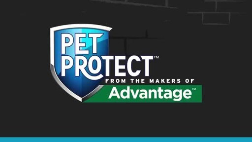 Veterinarian-Formulated Supplements for Complete Pet Wellness