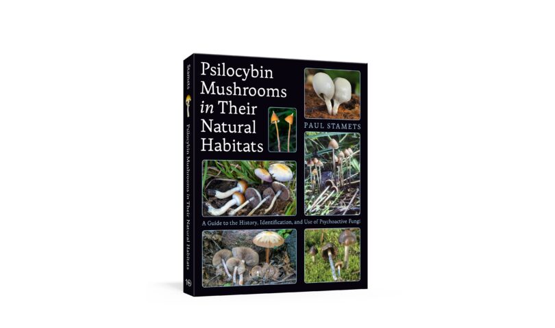Psilocybin Mushrooms in Their Natural Habitats