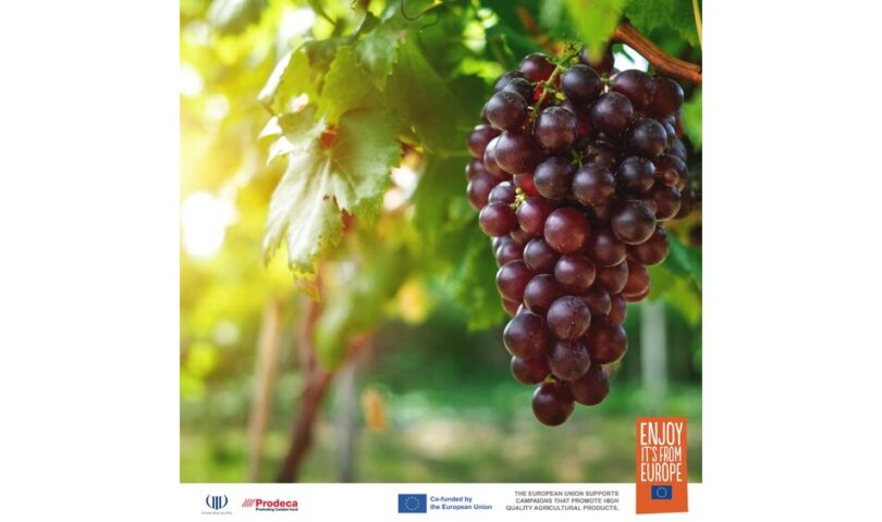 European Quality Wines from the Heart of Europe” campaign joins Gambero Rosso’s Premier Wine Events “Tre Bicchieri” in NYC and Chicago