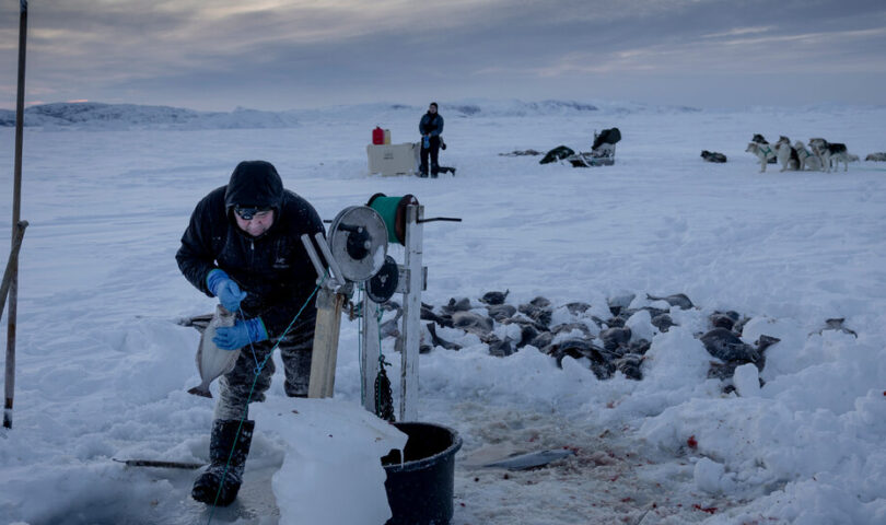 Greenland Races Into New Era Without Losing Grip on Inuit Traditions
