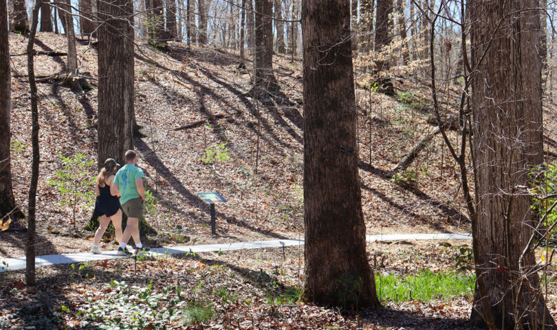 Accessible path added to Dunson Native Flora Garden at State Botanical Garden